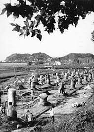 Nous n'avons pas besoin de vos dons, nous sommes tous bénévoles, mais vos talents sont bienvenus si vous avez des dispositions pour la traduction (anglais, allemand, russe, etc.) et aussi pour la relecture en. Grande Famine En Chine Wikipedia