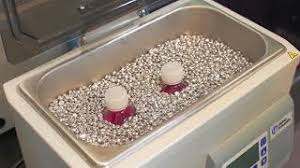 Himedia animal cell culture manual. Cell Culture Cell Culture Basics Youtube