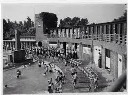 Openlucht Zwembad In Het Zuiderpark Den Haag Groningen Steden