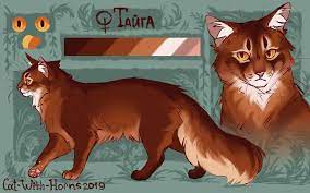Taiga By Cat With Horns On Deviantart Warrior Cat Oc Warrior Cat Drawings Warrior Cats Art