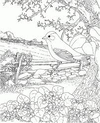Pin On Coloring Pages