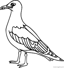 Create unusual characters, explore the beautiful game world. Seagull Coloring Pages Coloringall