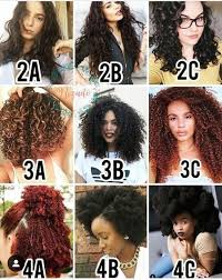 O Meu E 3b 3c Curly Hair Styles Natural Hair Styles Hair Type Chart