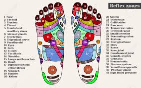 acupuncture points on the feet the reflex zones on the feet