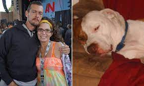 Indiana couple accused of bestiality 'after filming wife performing sex  acts on pit bull' | Daily Mail Online