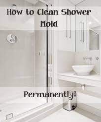 Top Ways To Clean Your Shower Mold Shower Mold Cleaning Hacks Shower Cleaner