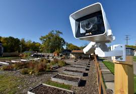 'In Memory Of' garden first to join DPDs Project Green Light