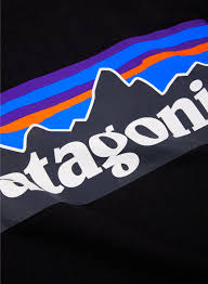 Download the vector logo of the patagonia brand designed by in encapsulated postscript (eps) the above logo design and the artwork you are about to download is the intellectual property of the. Patagonia P 6 Logo Responsibili Tee T Shirt Men Black Graffitishop