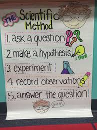 scientific method anchor chart 1st grade first grade