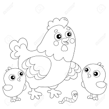 They're part of the animal world and a fantastic aspect of farm life. Coloring Page Outline Of Cartoon Chicken Or Hen With Chicks Royalty Free Cliparts Vectors And Stock Illustration Image 135270752