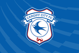 #cardiff city fc #who wouldn't love some good ol' marshy #personal #just curious and hopeful. Training Ground Guru Cardiff City Staff Profiles