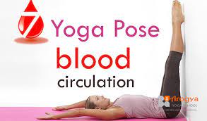 We did not find results for: 7 Yoga Poses For Improving Blood Circulation Yoga In Rishikesh