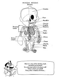 The doctor, the hospital, the human body.with these coloring pages you will learn about health while coloring. 14 Medical Coloring Pages Ideas Coloring Pages Anatomy Coloring Book Coloring Books