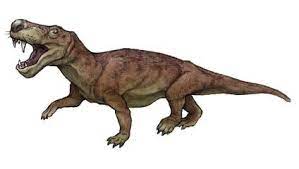 The Gorgon Face Gorgonops 1876 Phylum Chordata Class Synapsida Order Therapsida Suborder Gorgonopsia F Extinct Animals Prehistoric Animals Synapsida