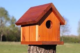 When painting shingles makes sense. Birdhouse Plans Easy One Board Diy Project Patterns Monograms Stencils Diy Projects