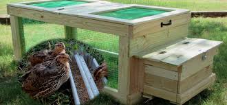 Build your own quail coop that is perfect for the backyard setting. Pin By Lukasz On Garden Ideas Quail Coop Raising Quail Quail House