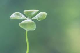 We did not find results for: What If Photosynthesis Stopped Happening Howstuffworks
