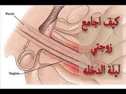 ليلة الدخلة خطوة خطوة 18 youtube
