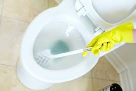 Natural Homemade Toilet Cleaner In 2020 Homemade Toilet Cleaner Toilet Cleaner Clean Toilet Bowl
