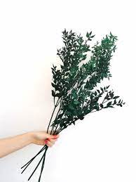 Emerald green flowers are a wonderful place to find emerald colored greenery and green flowers at wholesale prices, shop jade green today at fiftyflowers! Emerald Green Dried Ruscus Preseved Grass How To Preserve Flowers Dried Flowers Home Floral Arrangements