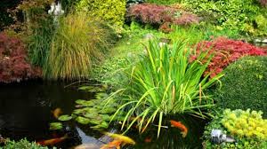 Le bassin de jardin est un conteneur d'eau artificielle utilisé pour des besoins des esthétiques vous pouvez également y mettre des poissons pour l'ornement comme les carpes koi et les poissons rouges. Petits Et Grands Secrets Des Bassins De Jardin