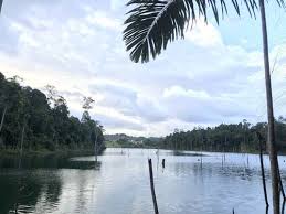 Shah alam is the state capital of selangor, malaysia. Shah Alam Selangor Beliebte Routen Alltrails