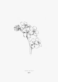 Vergiss mein nicht! dies ist nur eine von zahlreichen legenden, wie das zarte blaue blümchen mit dem gelben auge zu seinem bedeutungsvollen namen. Forgetmenots Illustration Inkylines Physical Personal Purchase Digital Service Listin Tattoo Vergissmeinnicht Vergiss Mein Nicht Tattoo Pferde Tattoos