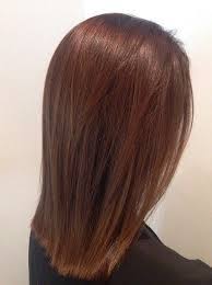 40 Unique Ways To Make Your Chestnut Brown Hair Pop Chestnut Hair Color Hair Color Brown Chestnut Chestnut Hair
