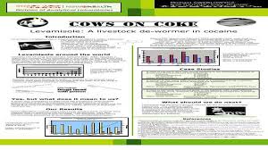 Cows On Coke Levamisole A Livestock De Wormer In Cocaine