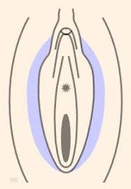 Auch diese problematik können durch die anpassung behandelt werden. Schamlippenverkleinerung Dusseldorf Kosten Yuveo Klinik