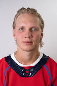 Meet the 2022-23 Springfield Thunderbirds: Photos, bios for player and  coaches