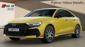 Image result for Python Yellow 2024 RS3
