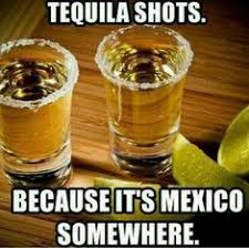 100 Tequila Ideas In 2021 Tequila Bones Funny Funny Quotes
