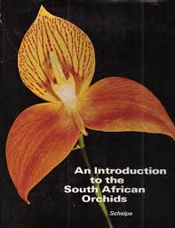 Image result for Neobolusia