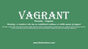 A vagrant is someone who moves a lot from place to place because they have no permanent. How To Pronounce Vagrant With Meaning Phonetic Synonyms And Sentence Examples Youtube