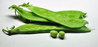 Pea, especially the snow pea. è·å…°è±†ç‚'è…Šè‚ çš„åšæ³• è‡´å¯Œçƒ­