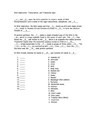 Transcription and translation worksheet answers. Dna Replication Transcription And Translation Worksheet Answers Nidecmege