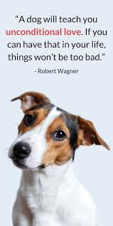 If your dog is fat, you aren't getting enough exercise. 25 Sweet Heartwarming Dog Quotes Puppy Leaks
