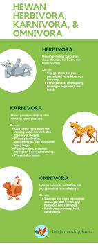 Mengenal Hewan Herbivora Karnivora Dan Omnivora Hewan Burung Rajawali Ilmu Pengetahuan Alam