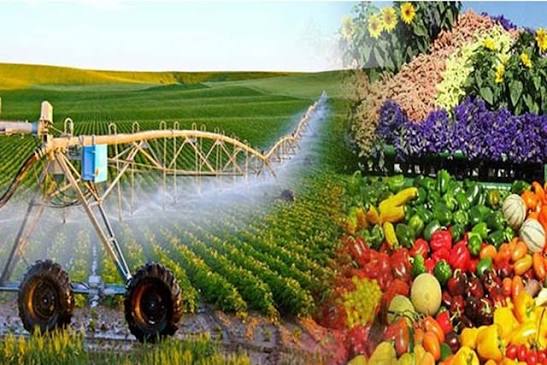 Nông nghiệp Việt Nam trước áp lực chuyển đổi xanh và cuộc đua công nghệ