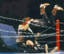Anyone who has seen cactus jack vs terry funk in the barbed wire rope, exploding barbed wire boards & exploding ring time bomb death match (or whatever order. Top 20 Hardcore Wrestlers