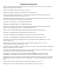 Punnett, who devised the approach. Punnett Squares