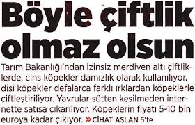 Petshop Gerceginde Yaptiklarimiz Kutuphane Haytap Haytap Hayvan Haklari Federasyonu
