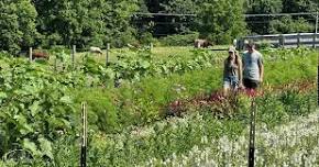 Summer Solstice at Ashbourne Farms