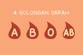 Misalnya, ras kaukasian punya jumlah 33 persen orang yang punya. Inilah Jenis Golongan Darah Paling Langka Di Dunia