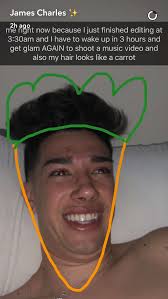 James charles even took to making his own youtube video called tati to address his side of the scandal, and keep scrolling for some of the funniest memes that encapsulate the james charles. Living The Sister Life James Charles Charles Meme Charles