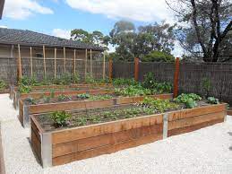 The deluxe 14in high timber raised bed vegetable gardening kit, made from 1.25inch thick treated timber. Garden Beds Layout And Vegetable Raised Bed Garden Selection