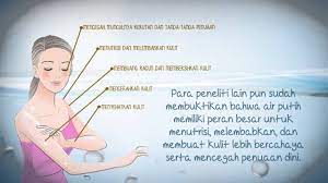 Jun 02, 2021 · berikut simak selengkapnya, manfaat air putih diminum setelah bangun tidur di pagi hari. Manfaat Air Putih Bagi Kesehatan Dan Kecantikan Youtube