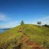 Ikuti kami untuk mencari tahu tempat wisata di bogor / puncak yang terasik. 1