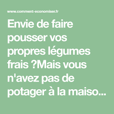 Les 20 Legumes Les Plus Faciles A Faire Pousser En Pot Potager Facile Potager Hors Sol Faire Soi Meme